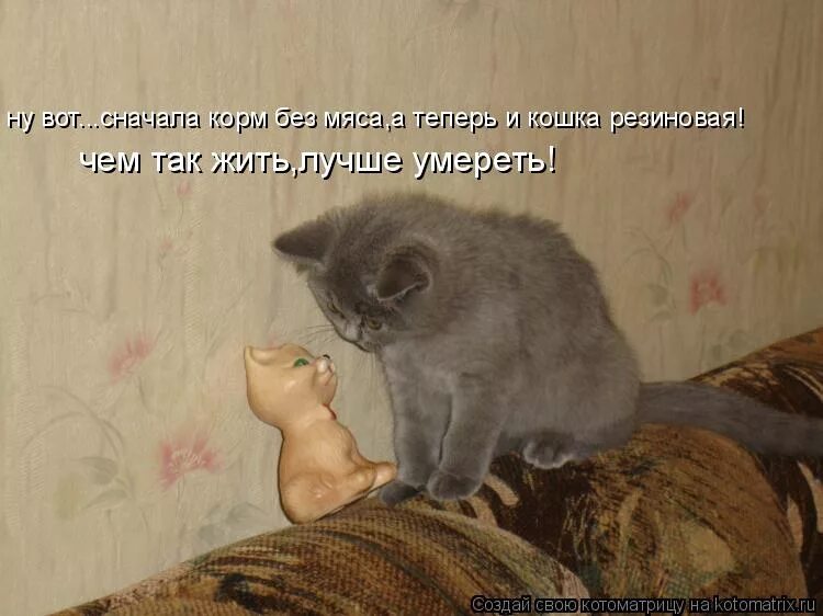 а со мной что будете говорить. предназначение женщины. такова жизнь цитаты. умение говорить нет цитаты. мне тут замуж предложили выйти сказал будешь.