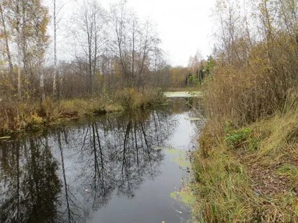 Где река яуза