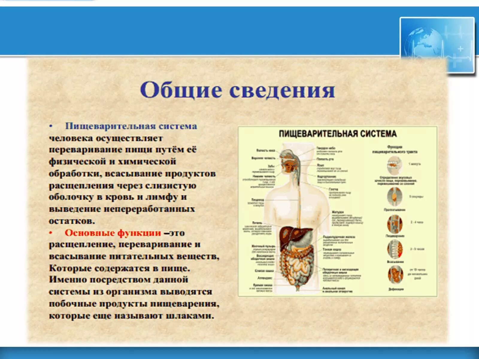 Биология 8 класс информация. Заболевания пищеварительной системы. Заболевания пищеварительной системы человека. Заболевания органов пищеварения человека. Сведения пищеварительная система.