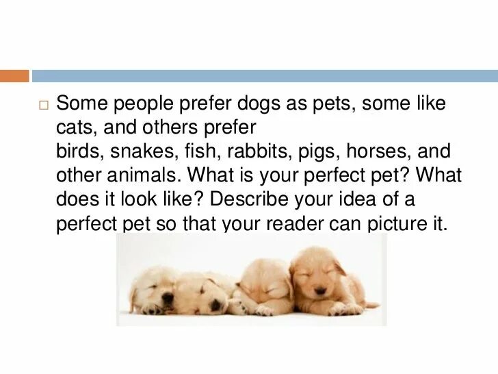 Pet essay. My favorite animal is a Dog 4 класс. Проект my favourite Pet. My favourite animals 3 класс Dog. Проект my favourite animal.