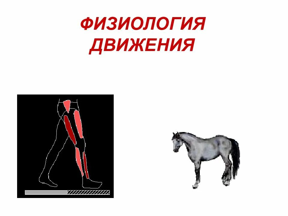 Физиологическое движение