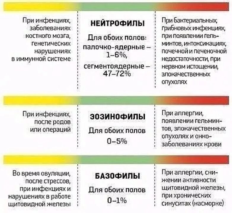 Как отличить вирус от бактериальной инфекции. Показатель бактериальной инфекции по анализу крови. клинический анализ крови при бактериальной инфекции. расшифровка анализа крови вирус или бактерия. показатели анализа крови при бактериальной инфекции.