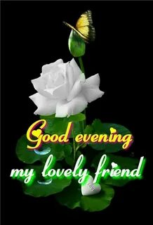 It is a beautiful evening