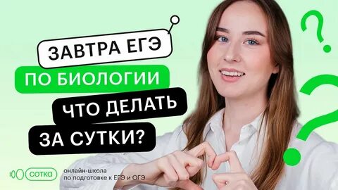 Что делать за месяц до егэ