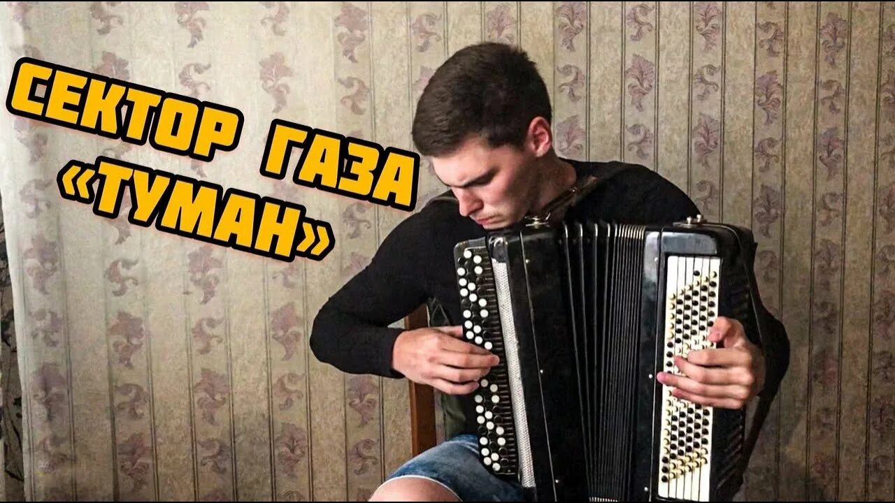 Какая песня на баяне. Игра на баяне. Сектор газа на аккордеоне. Сектор газа на баяне. Игра на баяне стильно.