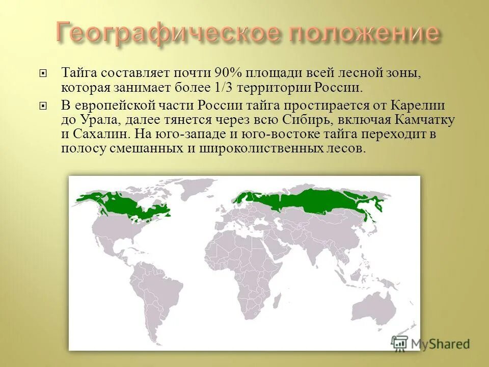 На каких территориях расположена тайга. Географическое положение тайги в России. Географиискоеположение тайги. Зона тайги географическое положение. Природная зона Тайга географическое положение.