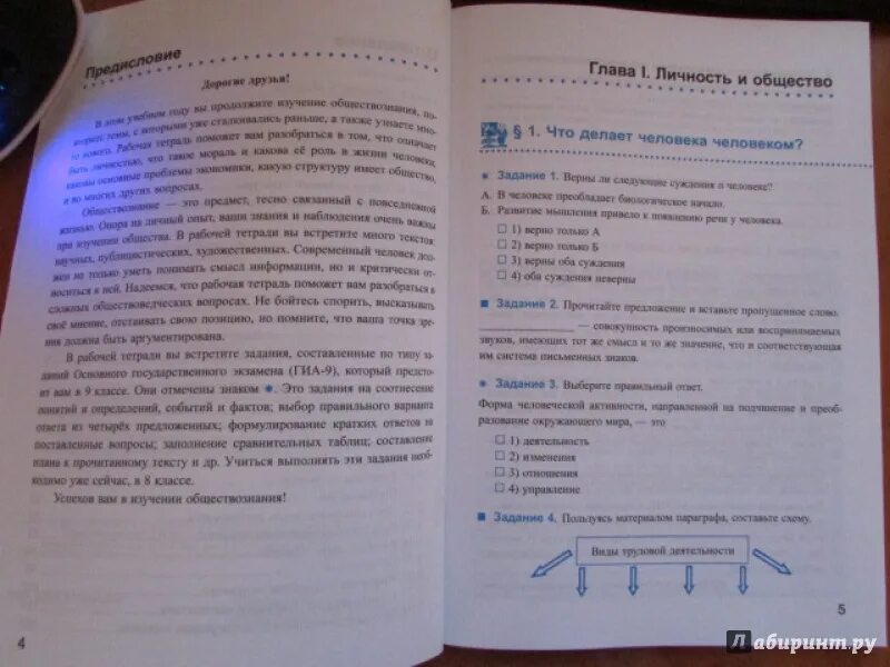 Параграфы по обществу 6 класс учебник. Общество 8 кл. Обществознание 8 класс 1 параграф. Обществознание, 8 кл., Боголюбов л.н.. Обществознание 8 класс рабочая тетрадь Боголюбова.