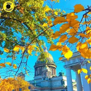 Солнечных дней в ноябре в санкт петербурге