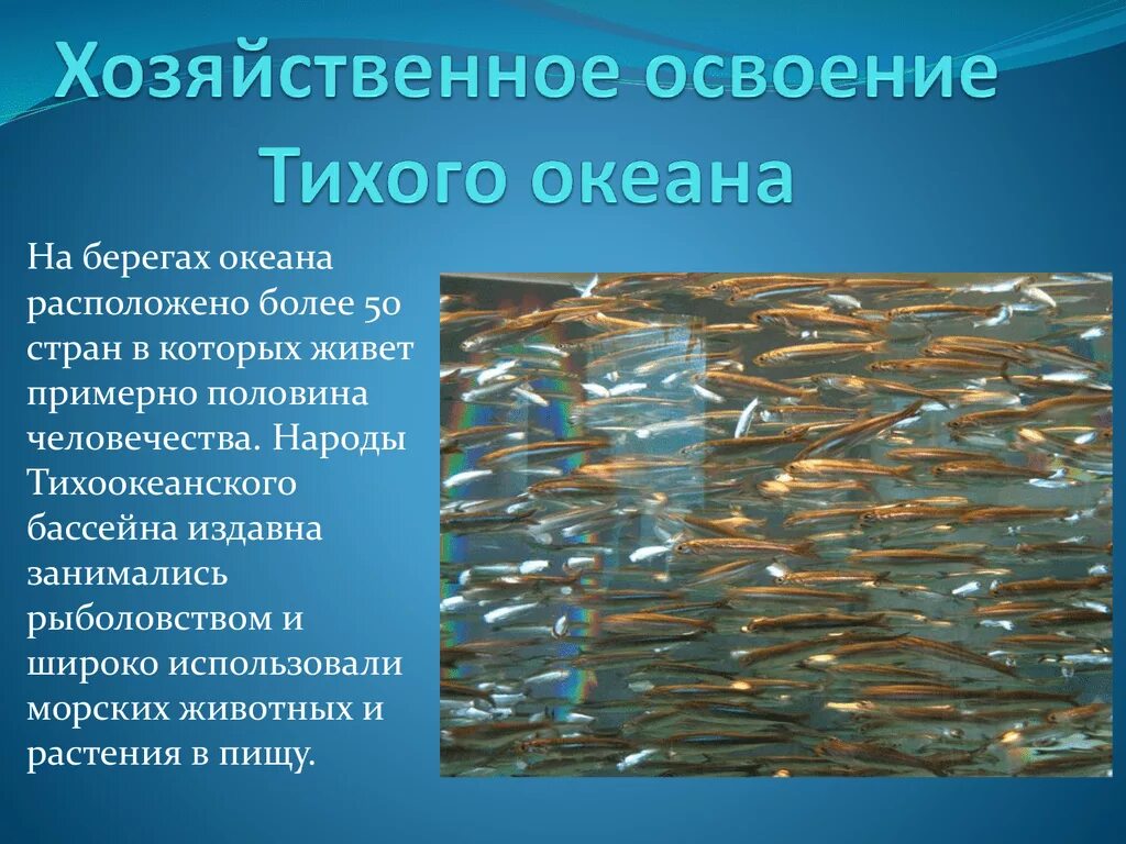 Какое значение имеет тихий океан. Хозяйственное освоение Тихого океана. Использование Тихого океана. Хозяйственное использование Тихого океана. Хозяйственная деятельность Тихого океана.