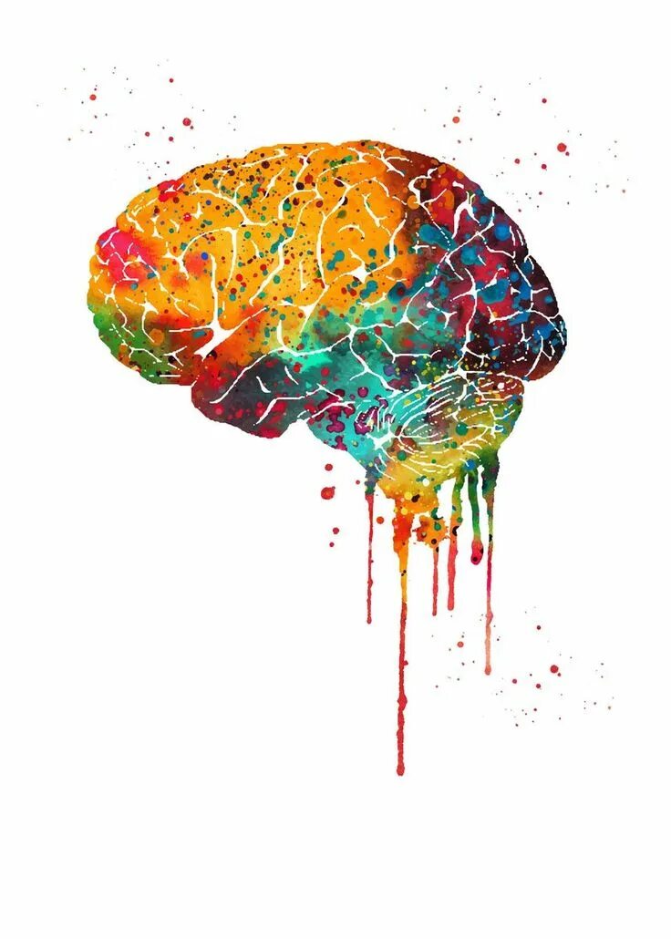 Colored brains