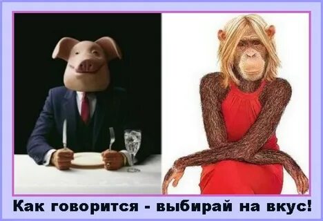 Свинья и обезьяна