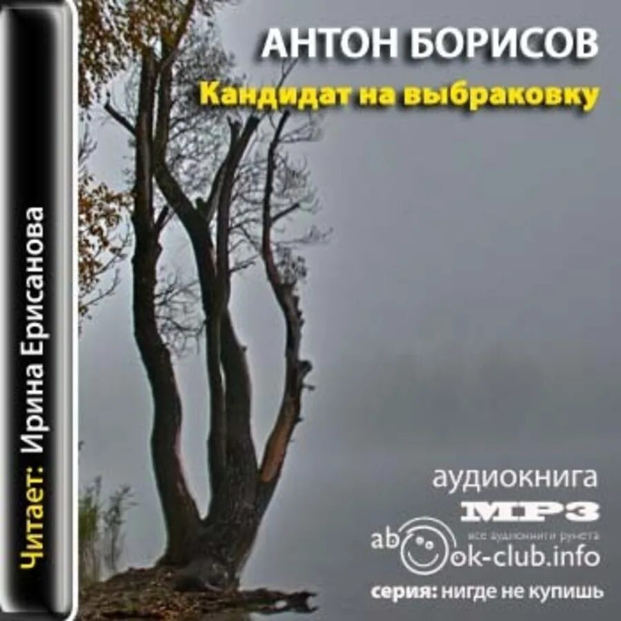 Борисов читать. Антон Борисов кандидат на выбраковку. Кандидат на выбраковку книга. Антон Борисов книги. Книгу Антона Борисова "кандидат на выбраковку.