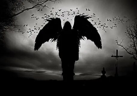 Black anel
