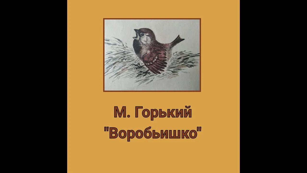 Сказка Максима Горького Воробьишко. Произведение м горького воробьишко