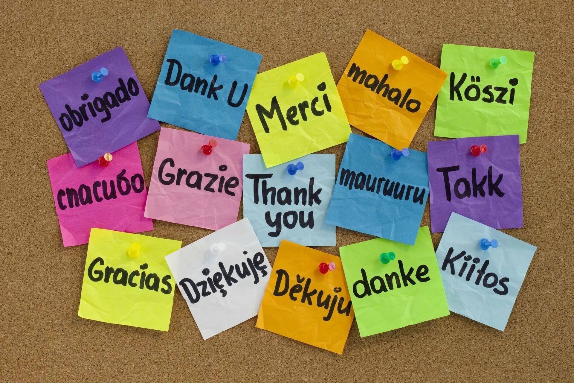 Thank you for staying with us
