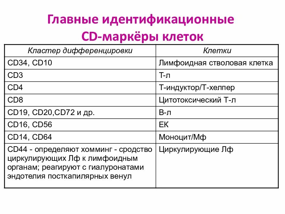 Номенклатура кластеров дифференцировки. Cd маркеры иммунология таблица. Cd маркеры лейкоцитов и их назначение. Cd маркеры иммунология таблица. Cd маркеры т лимфоцитов.
