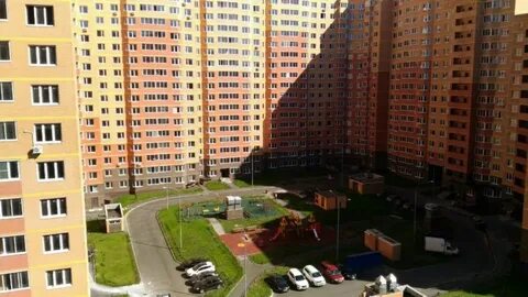 Зеленые аллеи 5