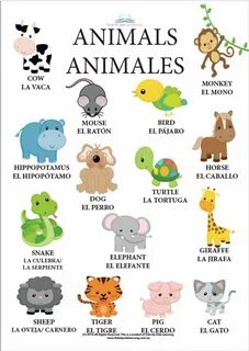 Numbers animals