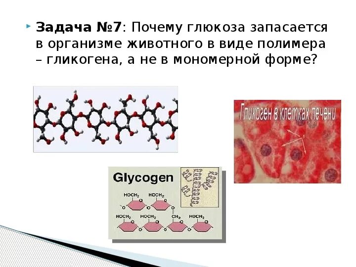 Печень запасает гликоген. Глюкоза запасается в виде гликогена. Гликоген запасается в клетках. Глюкоза запасается в виде. Почему Глюкоза запасается в виде гликогена.