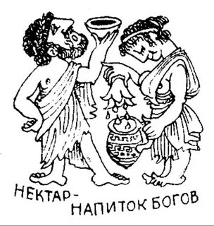 Амброзия для богов 4 буквы