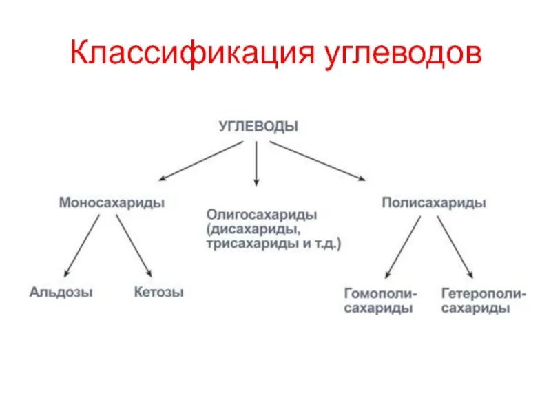 Классификация углеводов альдозы. Классификация углеводов моносахариды олигосахариды. Классификация углеводов схема. Классификация углеводов схема биология.