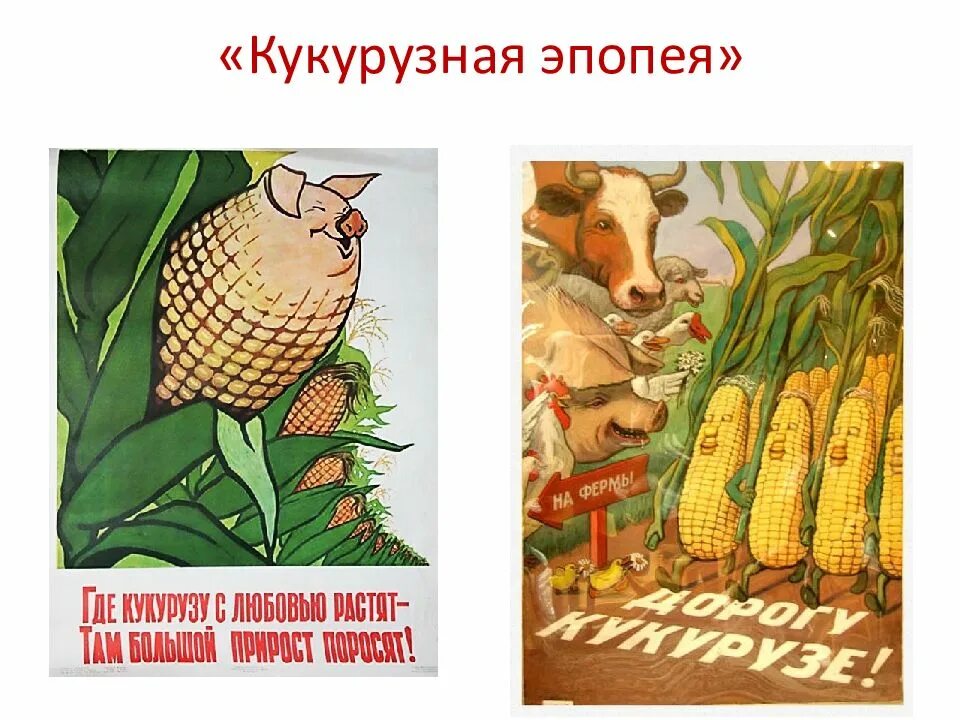 Какая царица полей. Царица полей хрущев. кукурузная эпопея. плакаты ссср кукурузная эпопея. плакат кукуруза.