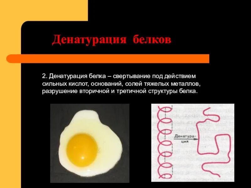 Процессы денатурации белка. Тепловая денатурация белка формула. Денатурация белков под воздействием кислоты. Денатурация белков кратко в биологии. Реакция термическая денатурация белка.