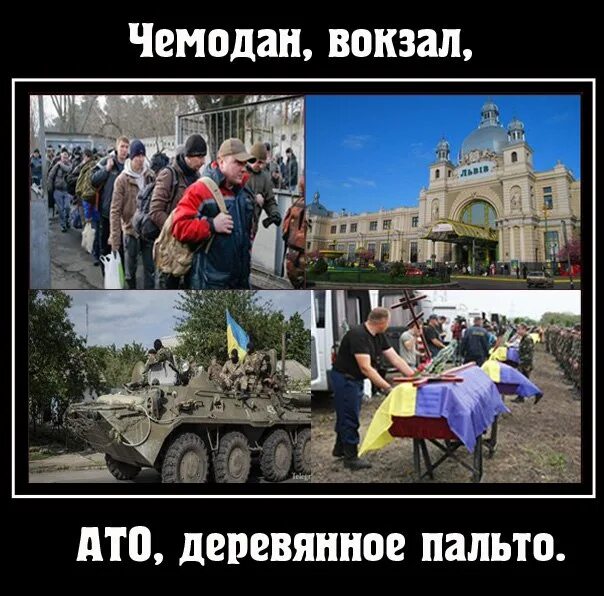 Фраза жириновского чемодан вокзал. Чемодан вокзал ато.
