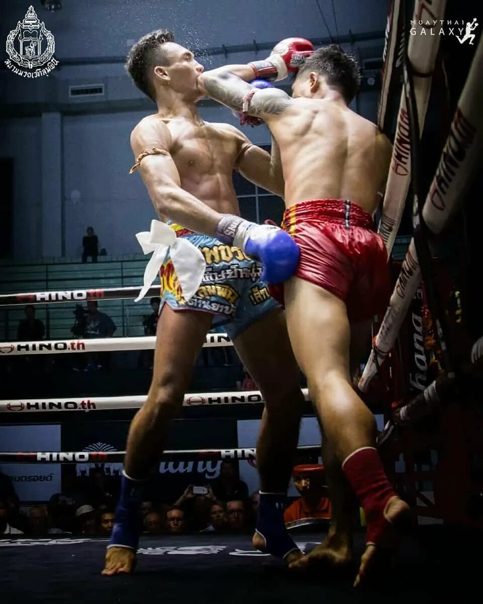 Муай тай буакав пор прамук. Муай лао. Тайский боксер буакав прамук. Лучший муай тай. Кевин росс муай тай.