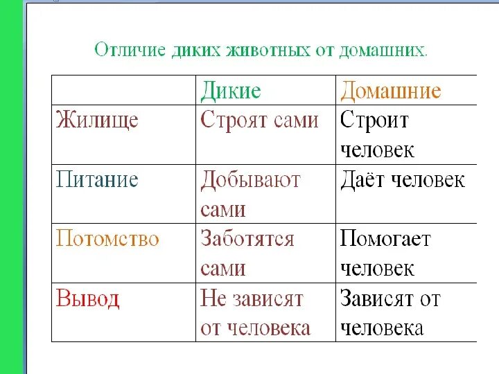 Привести пример животных каждой группы. Отличие диких и домашних животных таблица. Чем домашние животные отличаются от диких 2 класс. Сходства и различия домашних и диких животных. Сравнительная таблица диких и домашних животных.