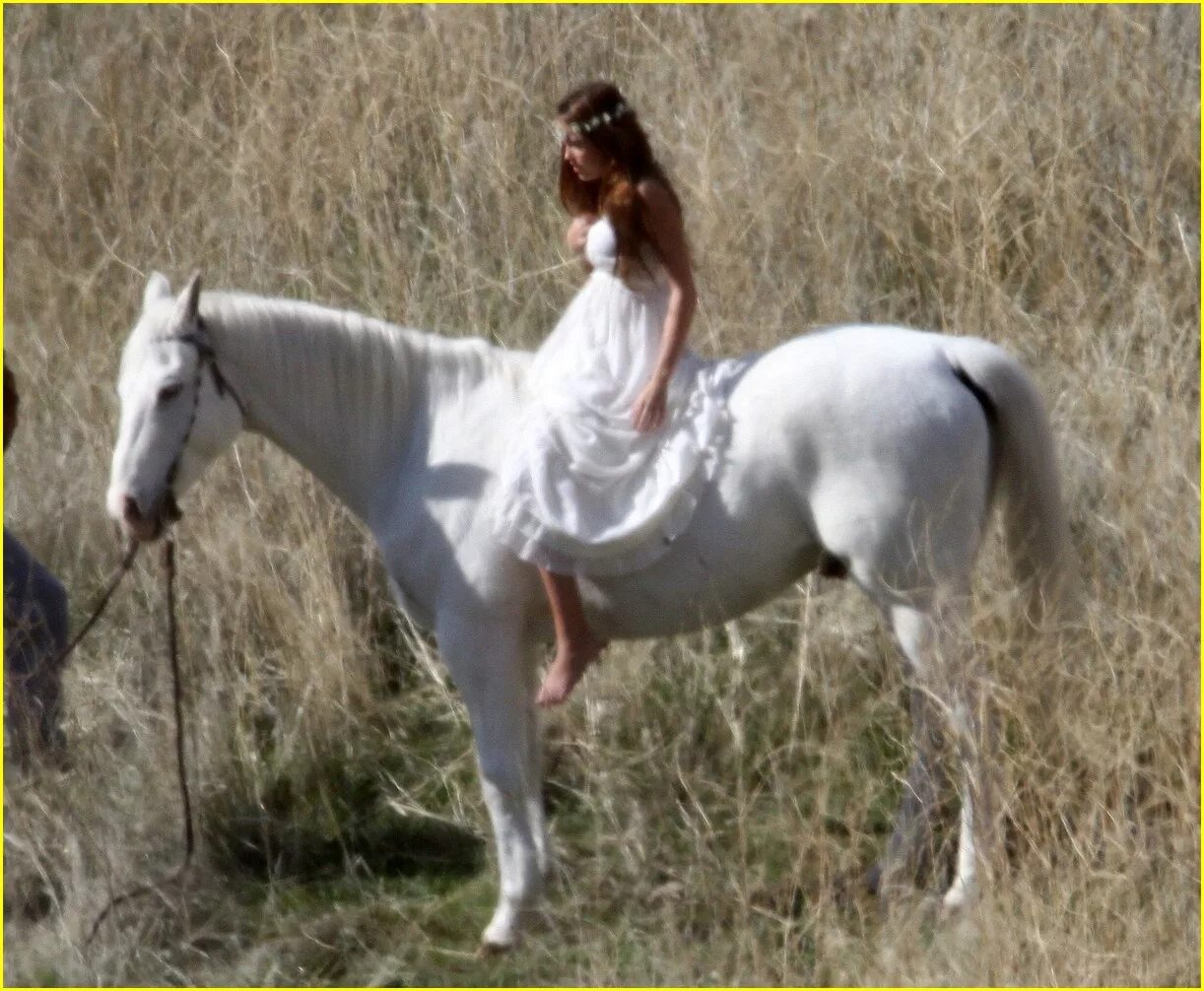 Приснилось что за мной гонятся. Майли Сайрус верхом на лошади. Приснилась лошадь. Белая лошадь во сне. Белый конь во сне.