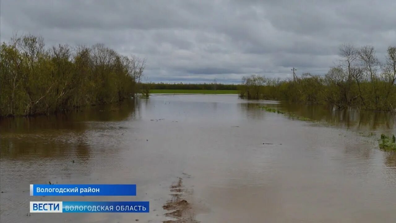 Воды Вологодской области. Половодье река Кубена. Рыбы рек Вологодской области. Река Вотча.