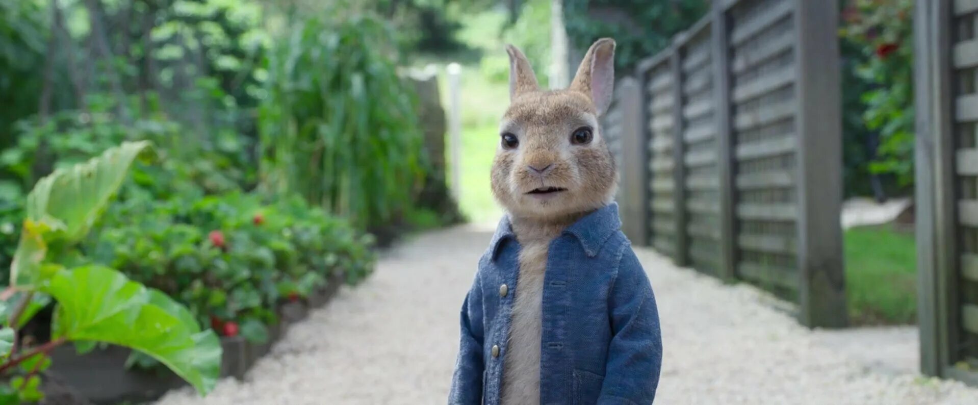 Братцы кролики 2021. Peter Rabbit 2 # Питер кролик 2 screencaps.