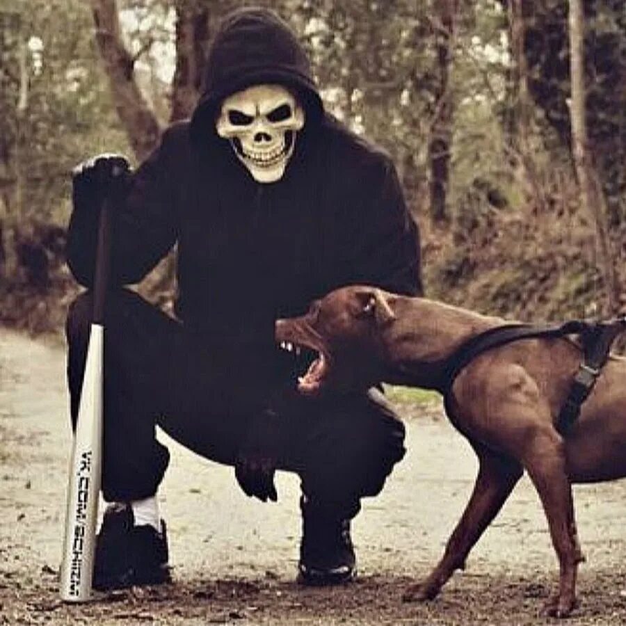 Бандит вообще. Бандит вообще