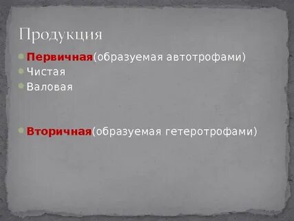 Образуют первичную продукцию