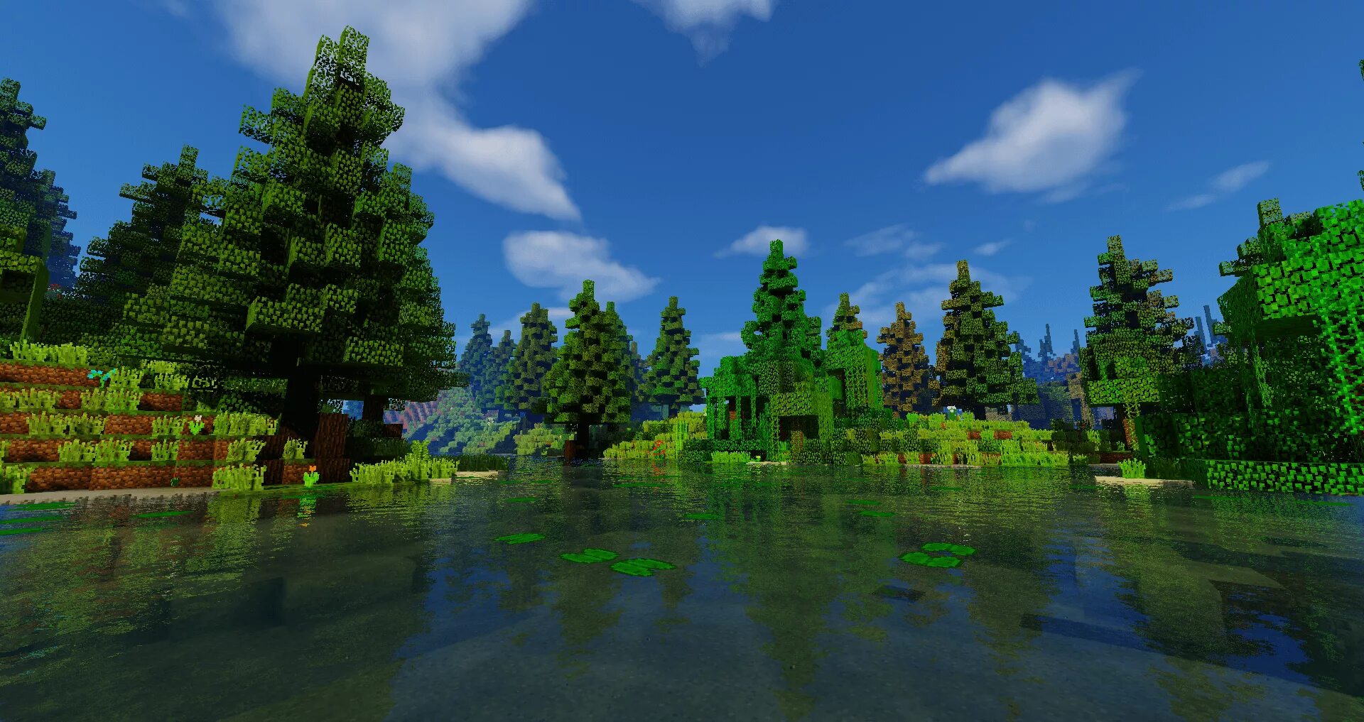 Forest server