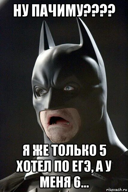 Толи не хочешь