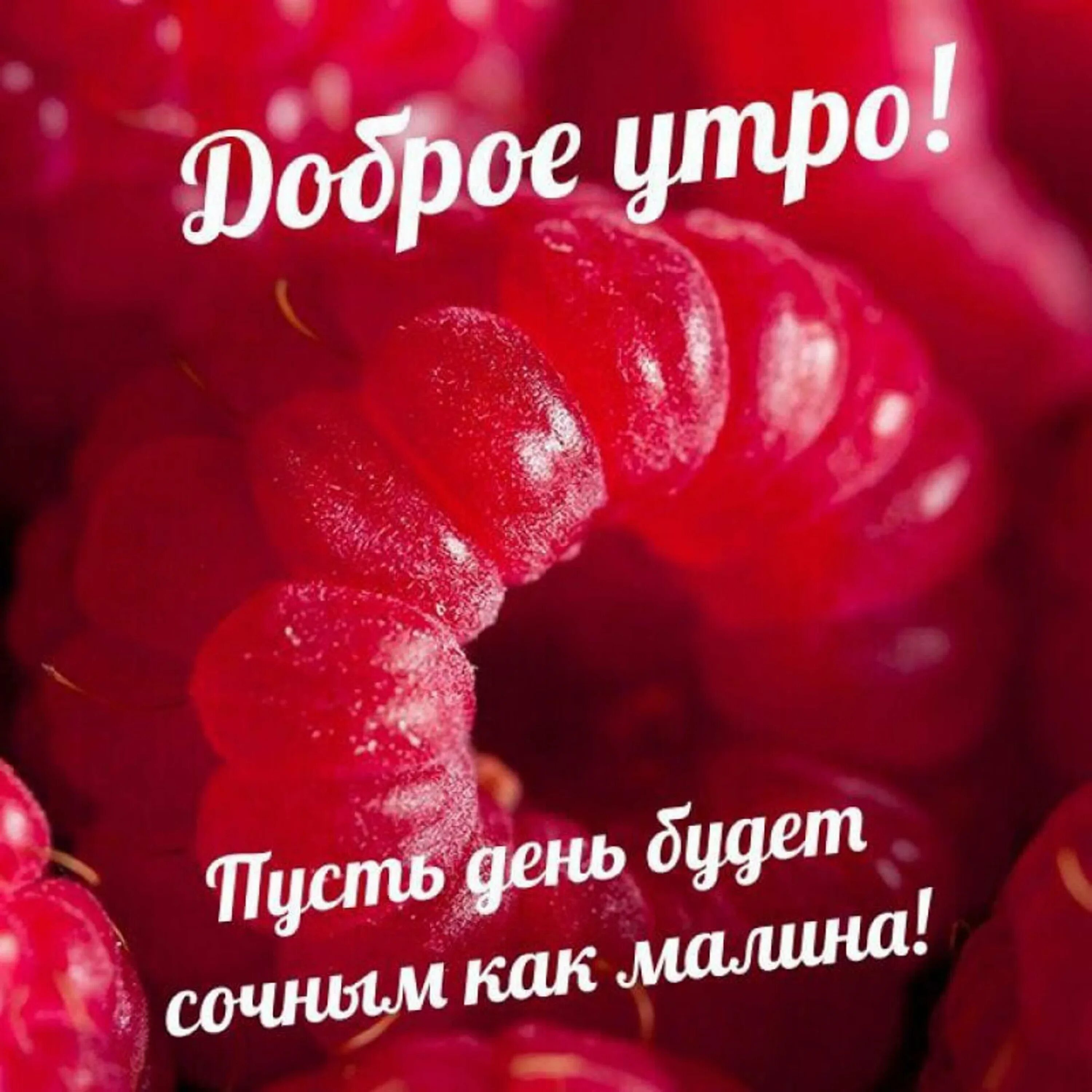 Доброе утро открытки статусы. С добрым утром. поздравление с добрым утром. открытка с добрым утром девушке. красивые слова с добрым утром.