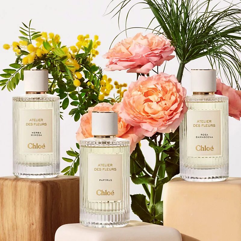 Atelier de fleurs chloe. Chloe atelier des fleurs тестеры. Хлое цедрус. Atelier de fleurs chloe. Chloe atelier des fleurs neroli 50 мл.