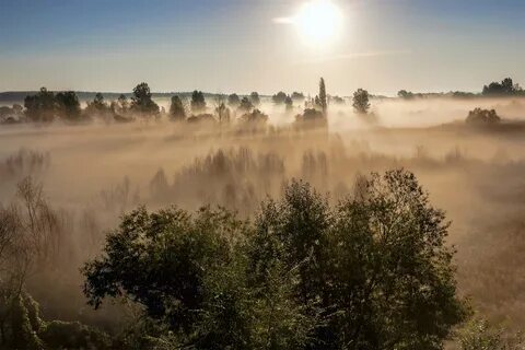 Туман в солнечную погоду