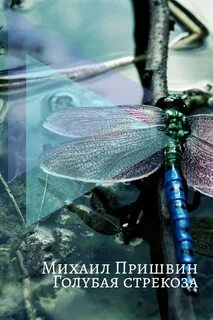 Голубая стрекоза пришвин