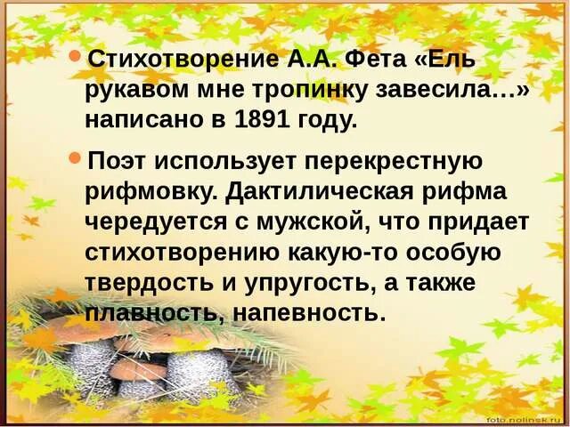 Фет ель рукавом мне тропинку завесила. Стих Фета ель рукавом мне тропинку завесила. Стих Тютчева ель рукавом. Анализ стихотворения ель рукавом мне тропинку завесила. Анализ стихотворения учись у них фет