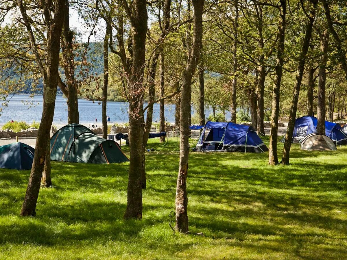 Camping park. Поляна Увильды кемпинг. Озеро Увильды кемпинг с палатками. Лесная Поляна Тургояк с палатками. Автокемпинг Увильды.