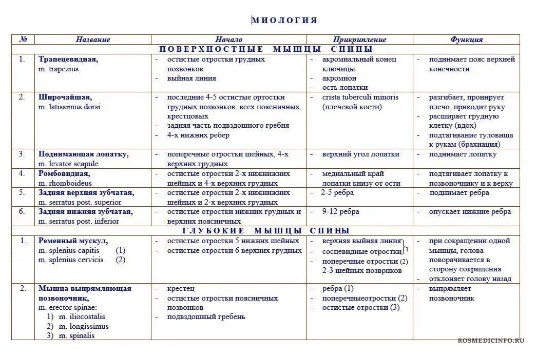 Миология в таблицах. Мышцы верхних конечностей анатомия таблица. Мышцы верхней конечности таблица. Миология в таблицах. Миология в таблицах.