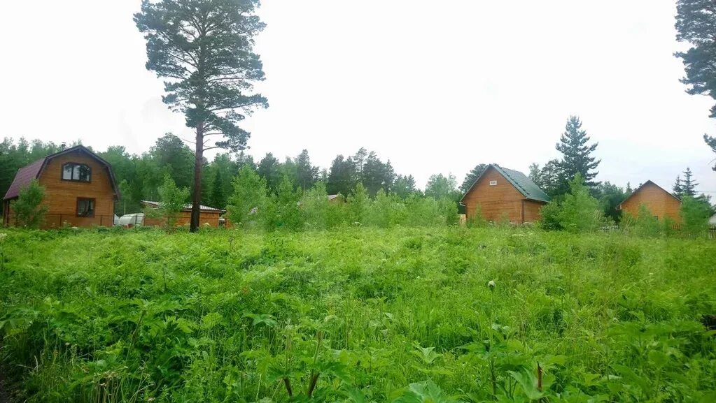 Погода арейское красноярский емельяновский гисметео. Село арейское красноярский край. Погода в красноярске. Арейское красноярск карта. Погода в красноярске.