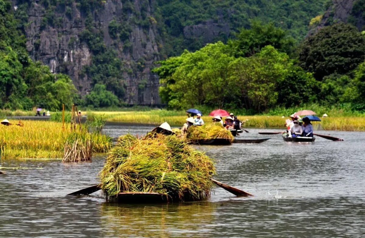 Почему реку меконг. Река Меконг Вьетнам. Дельта реки Меконг Вьетнам. Дельта реки Меконг (Южный Вьетнам). Нинь Бинь Вьетнам.