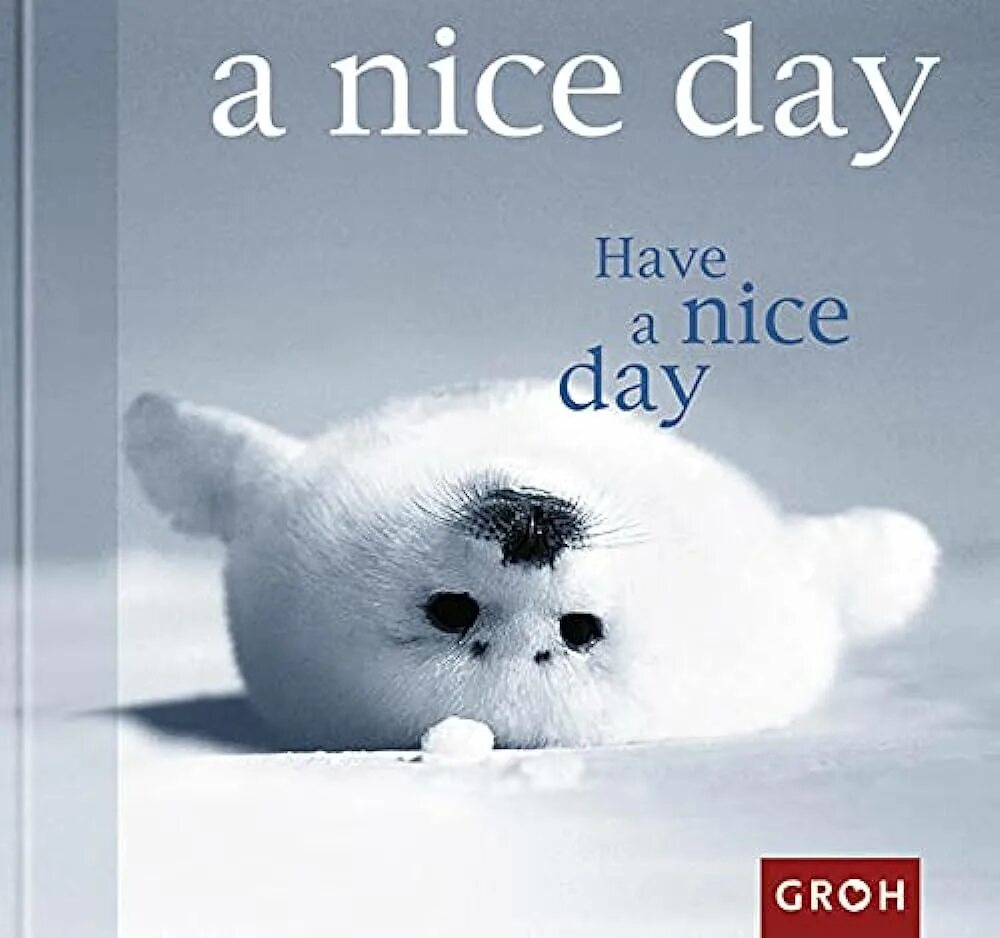 Good morning students. Nice day перевод на русский язык. Good morning have a nice day. Nice day картинки. Have a nice day.