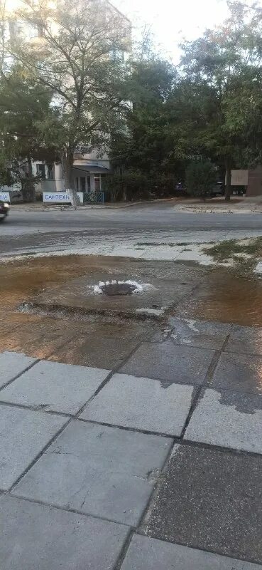 Чп саки. Чп саки. Чп саки. Чп саки. Чп саки.