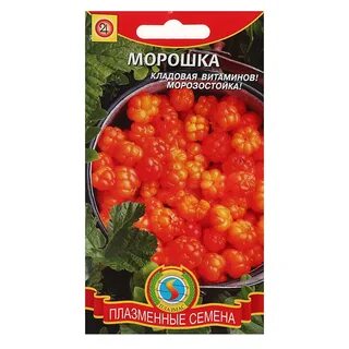 Семена морошки