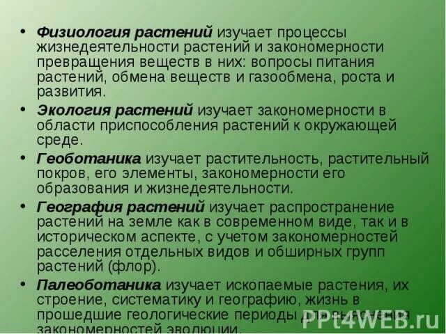 Процессы физиологии растений. Физиологические процессы растений. физиология растений изучает.